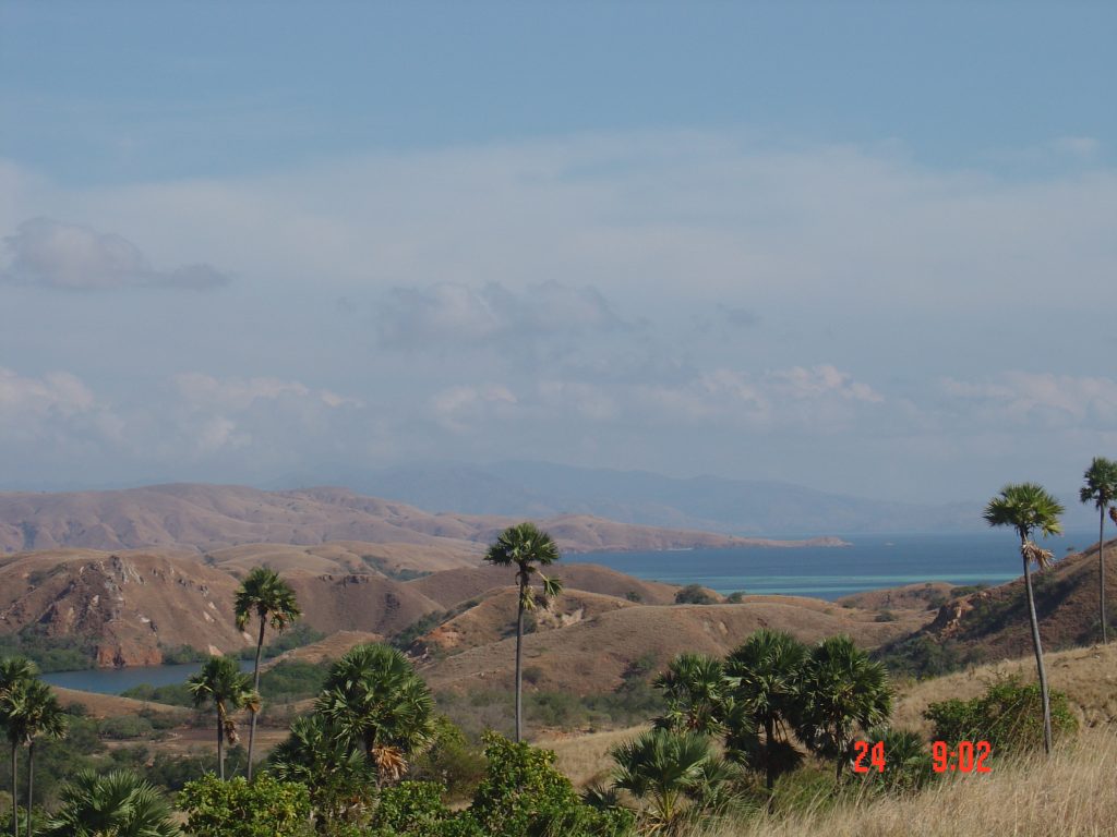 Landscape of Komodo